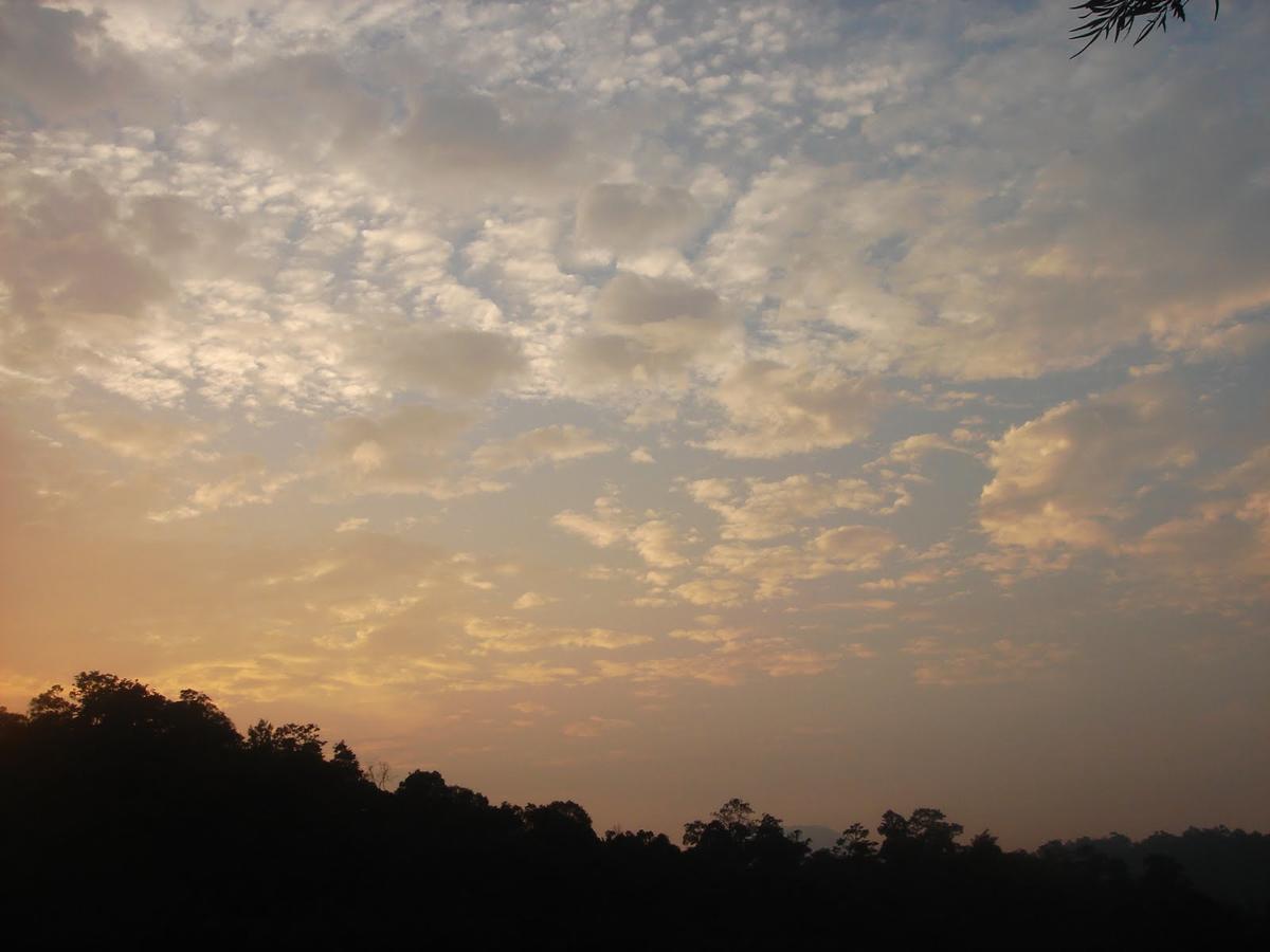 Wild Elephant Eco Friendly Resort Munnar Eksteriør billede