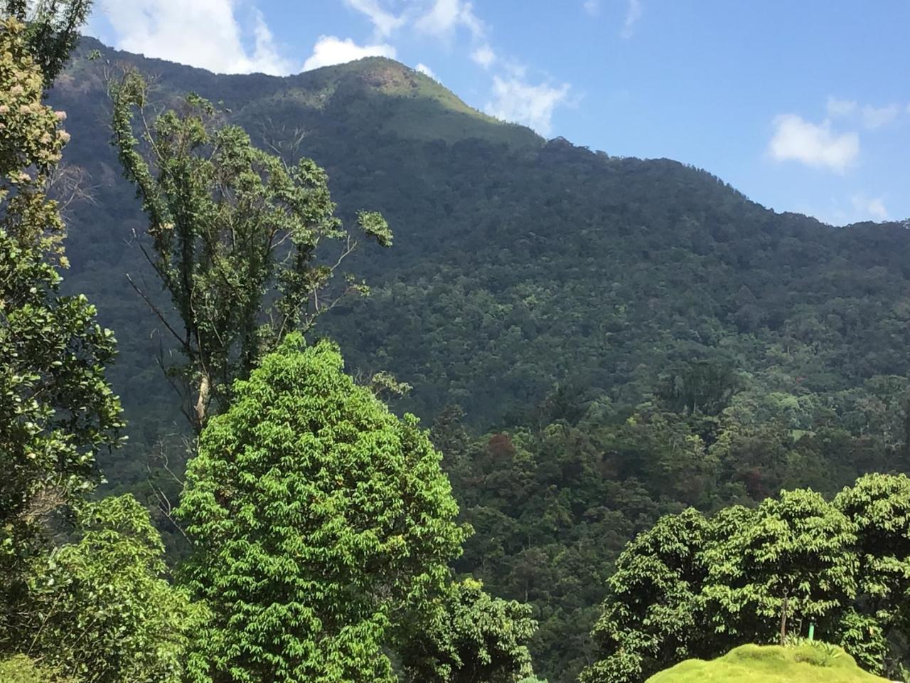 Wild Elephant Eco Friendly Resort Munnar Eksteriør billede