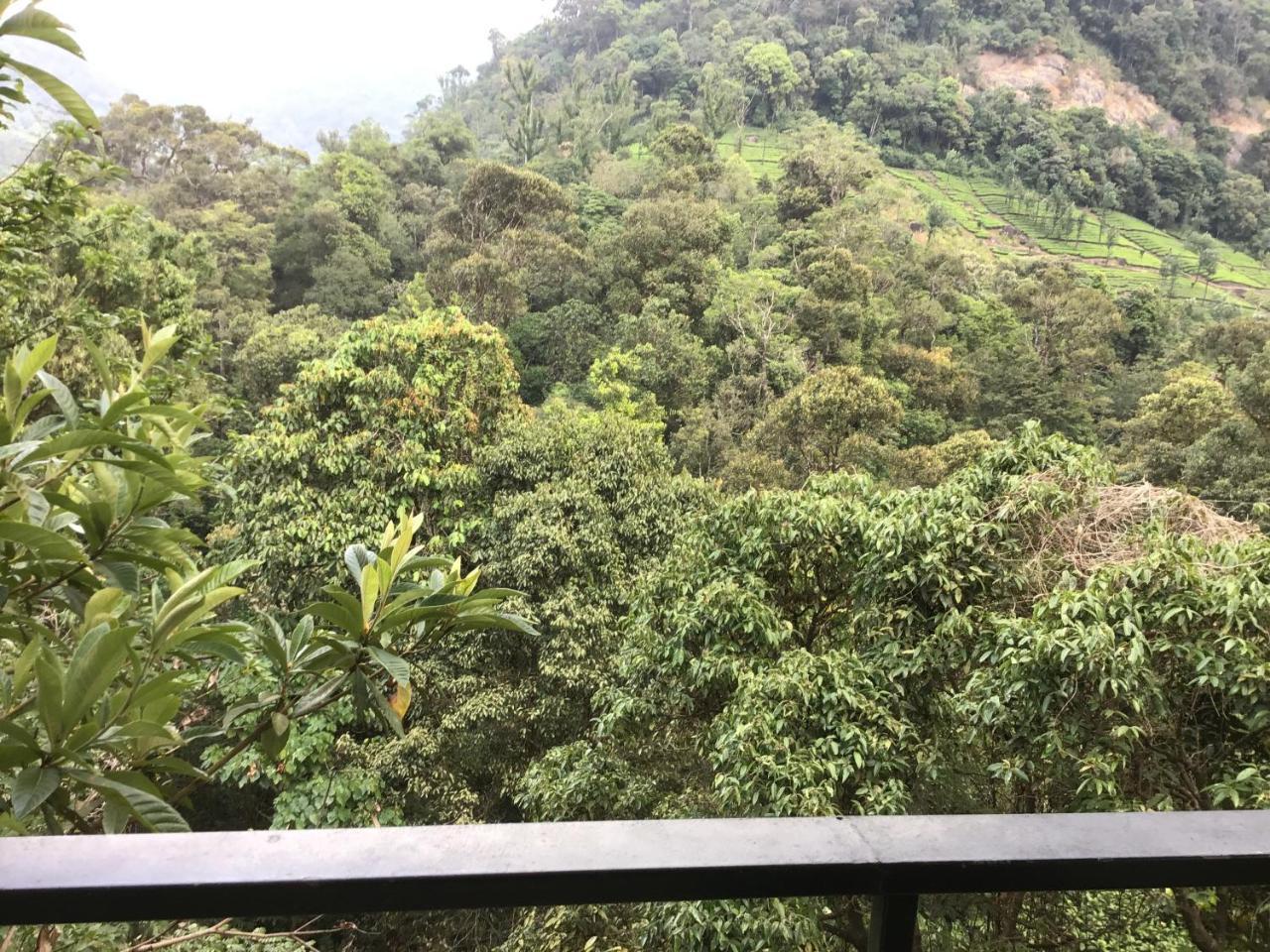 Wild Elephant Eco Friendly Resort Munnar Eksteriør billede