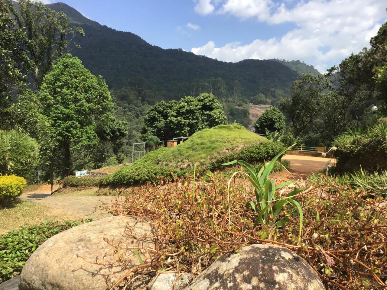 Wild Elephant Eco Friendly Resort Munnar Eksteriør billede